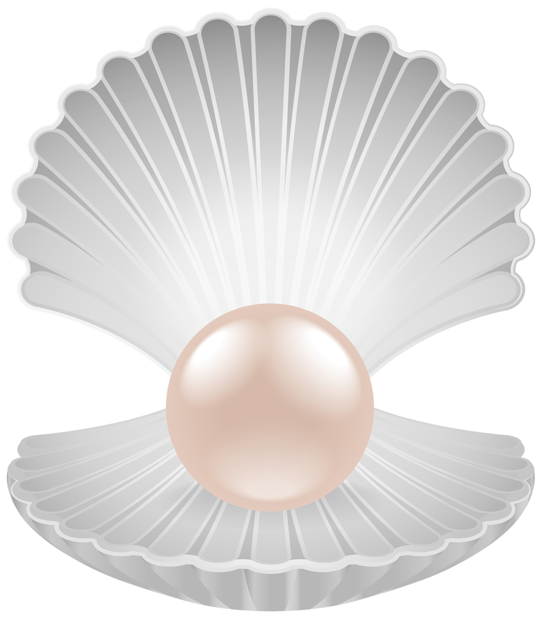 Clam clipart cool, Picture #363668 clam clipart cool