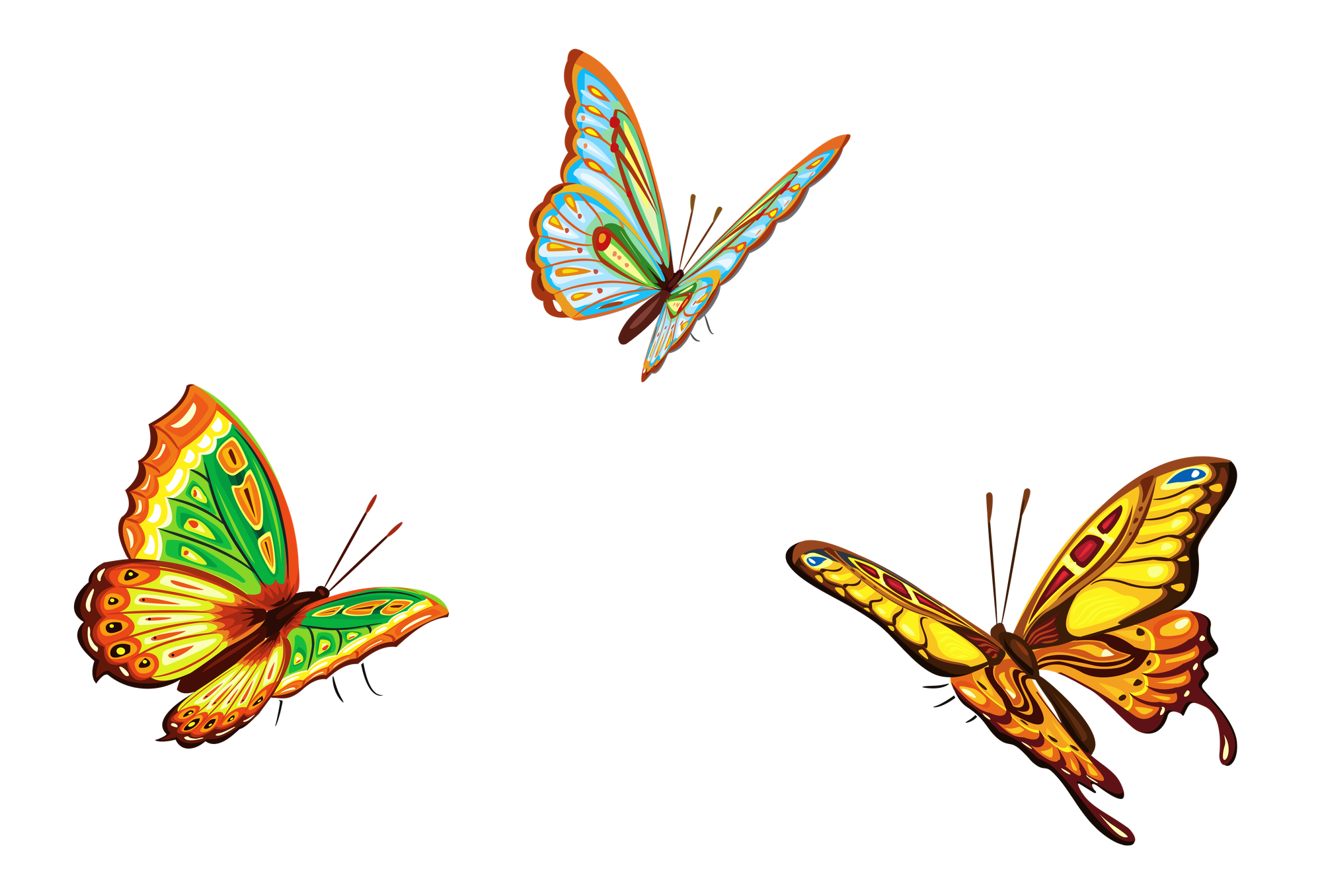 Free butterfly clipart png