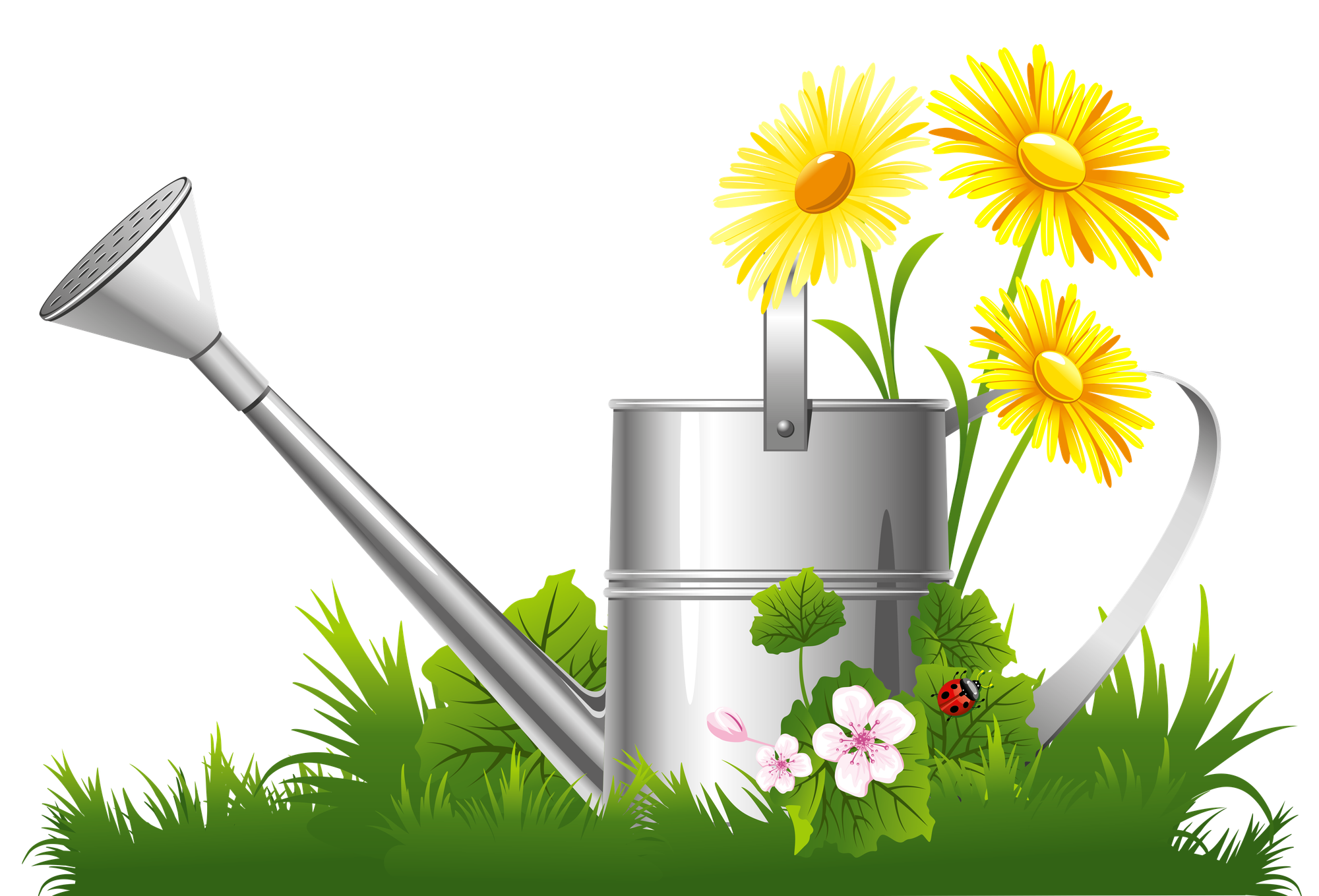 Google clipart spring flowers