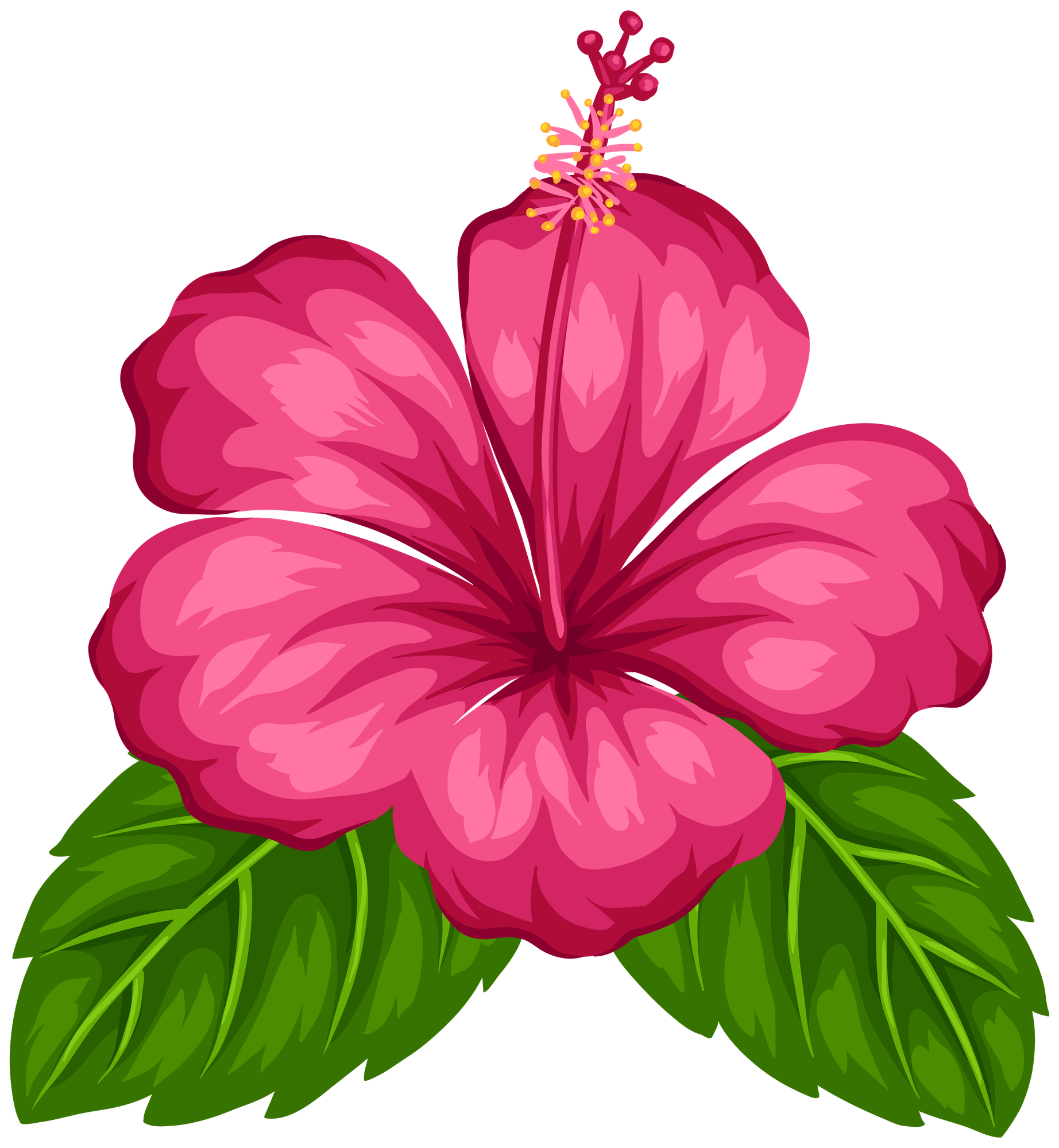 tropical flower clip art 10 free Cliparts | Download images on ...