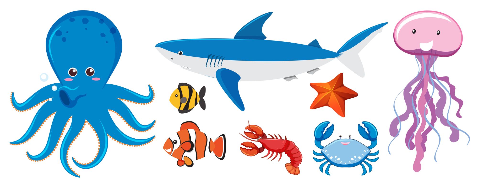Colorful aquatic animals, a vibrant set.