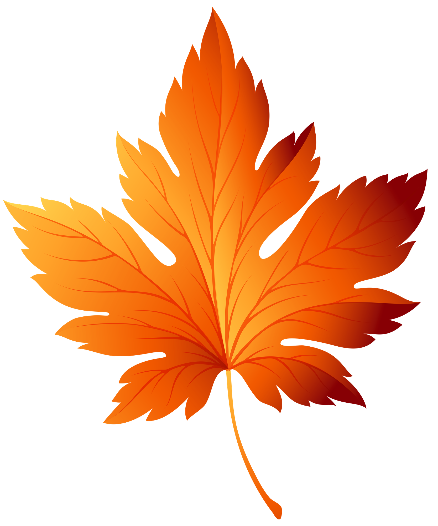 Transparent autumn leaf, perfect for Thanksgiving.