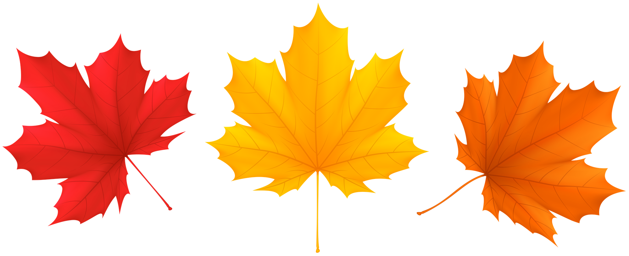 Colorful wreath with fall leaves.