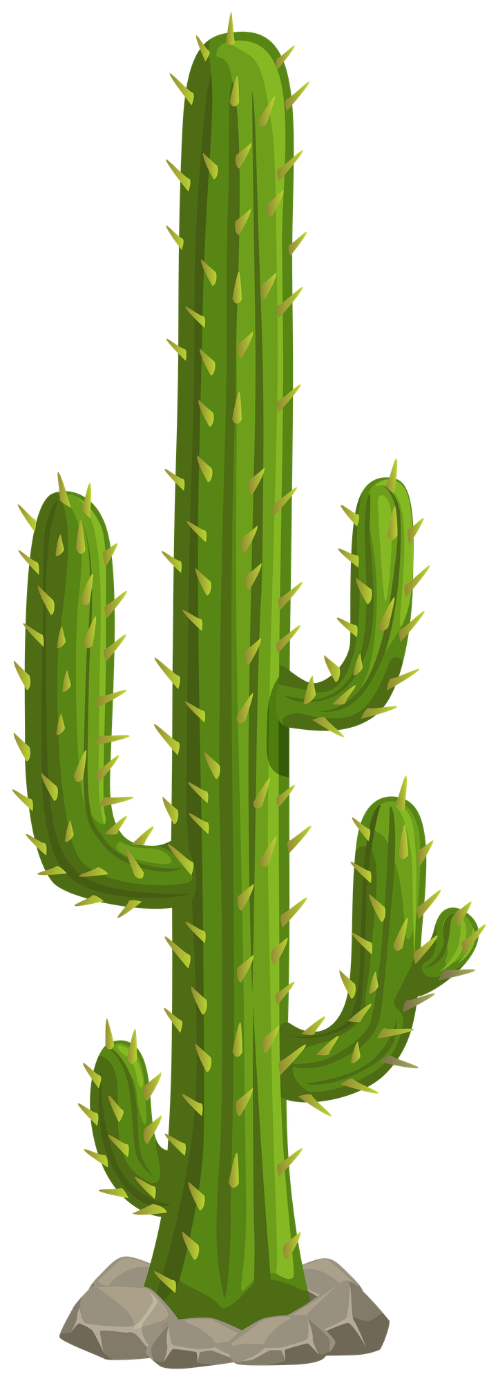 A set of varied cacti, simple yet eye-catching.