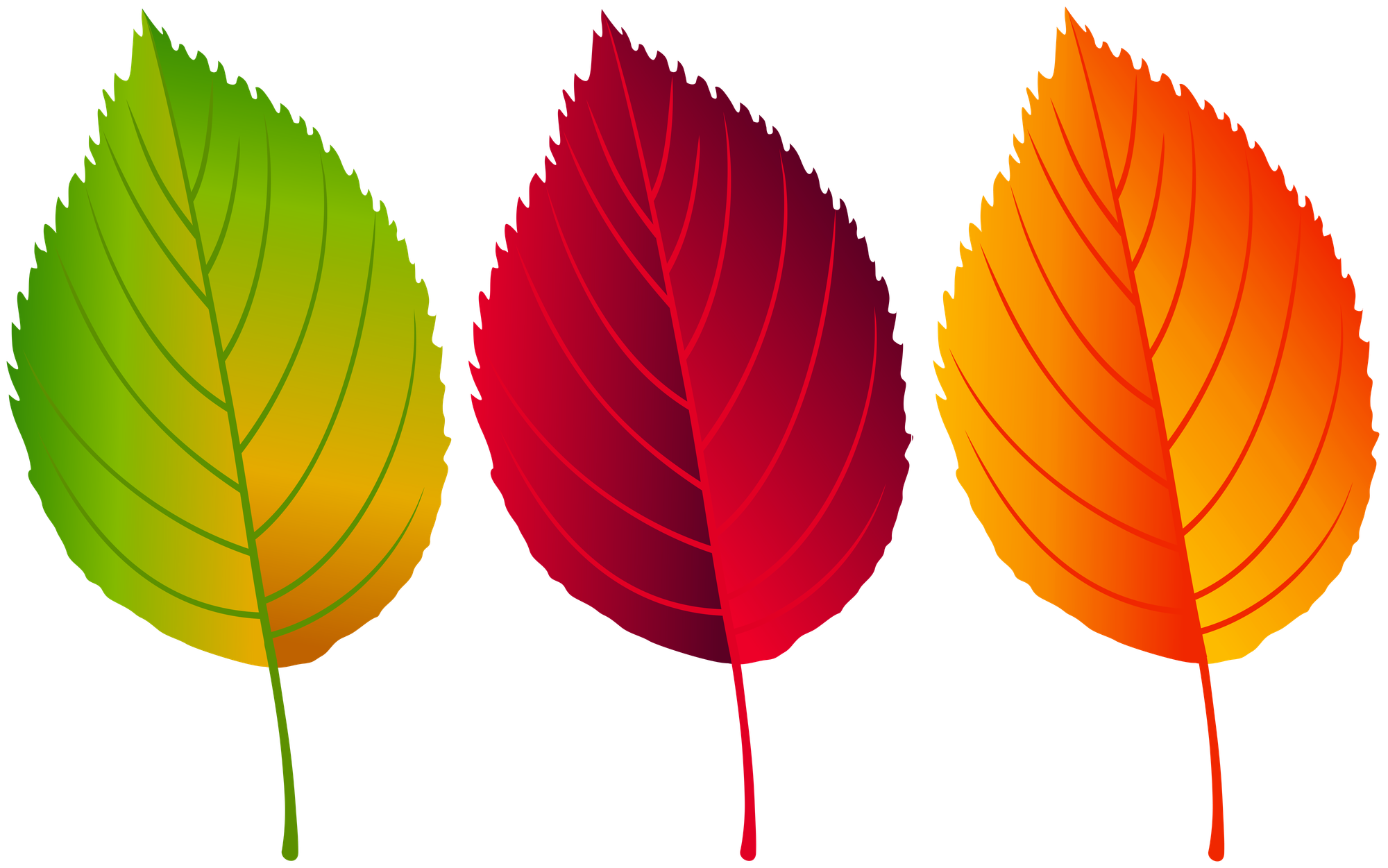 Free clip art of colorful fall leaves.