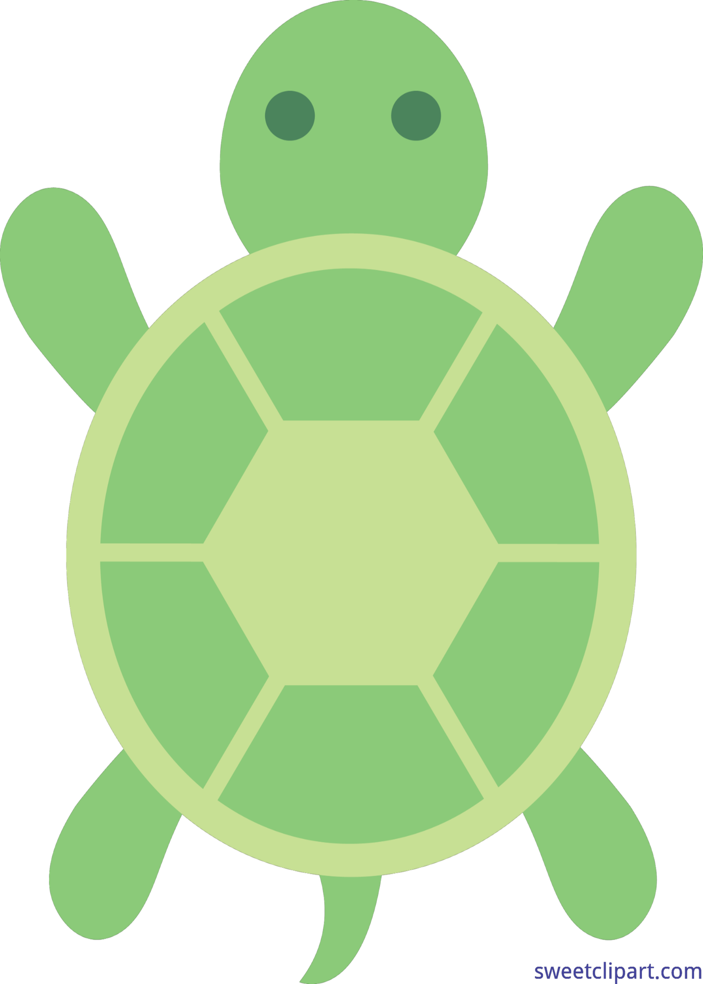 Green turtle, ready for a free adventure.
