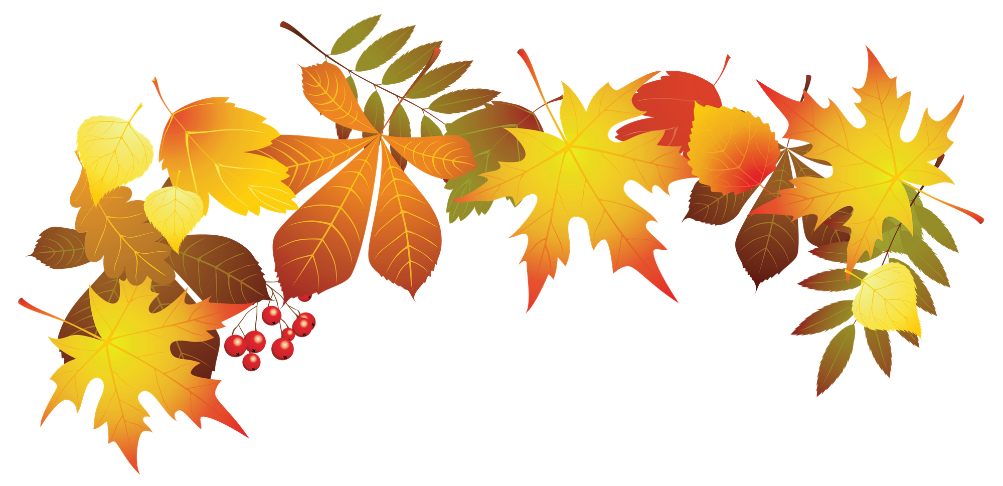 Leaves falling, a seasonal clip.