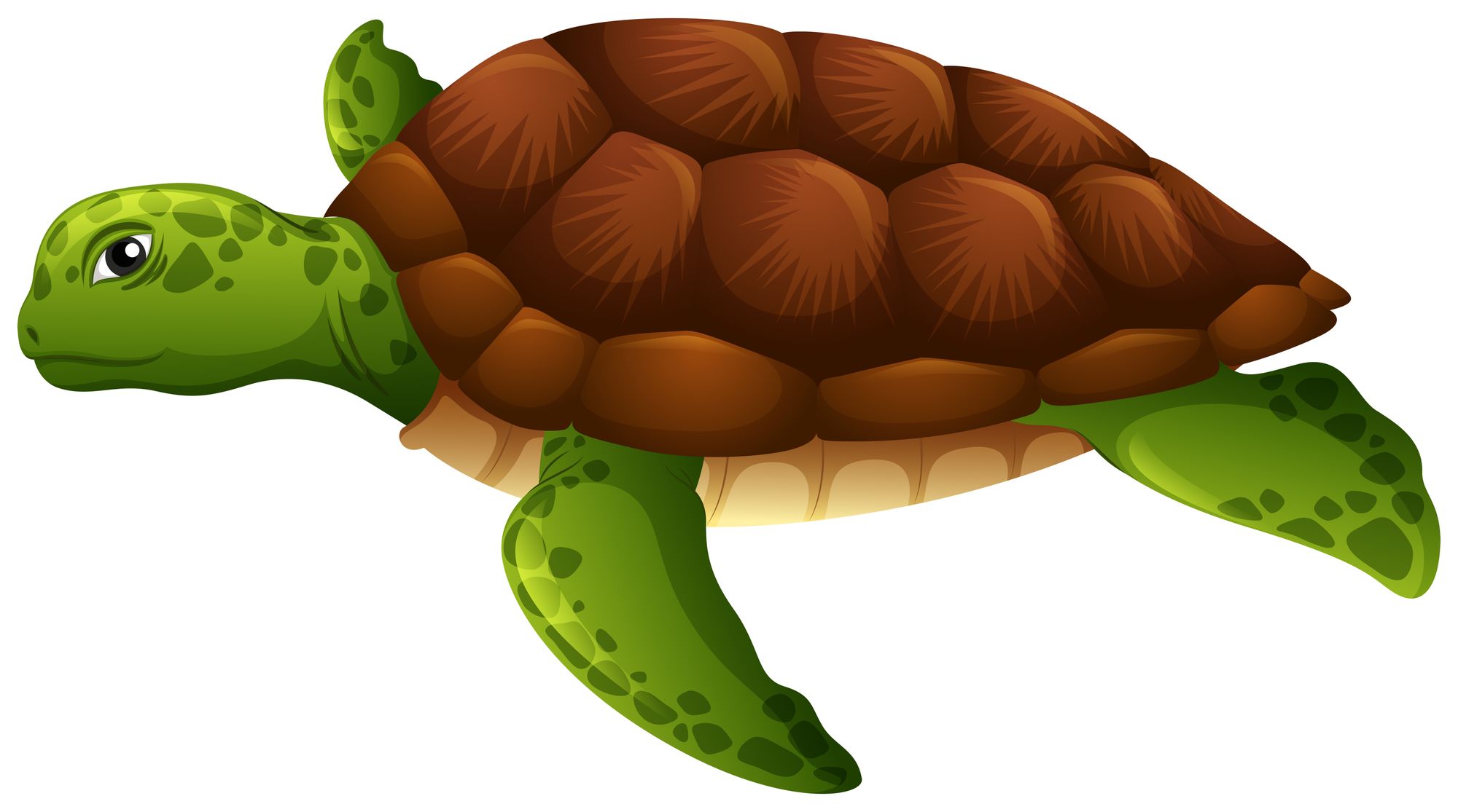 Turtle art, a charming blog companion.