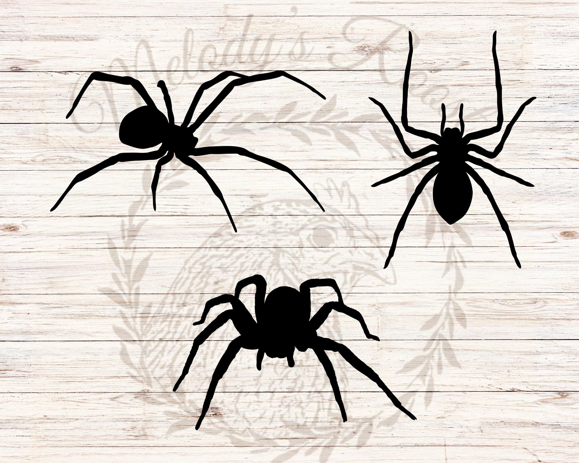 Vector silhouettes of spiders.